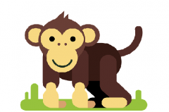 1980年属猴人2022年运势女命  42岁生肖猴2022年每月运势女性