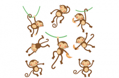 1956年属猴的是什么命，56年出生的猴五行属什么