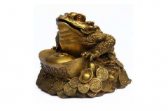 什么属相不能摆金蟾