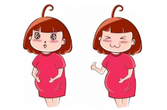 2020年哪个月怀孕生儿子