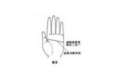 左手断掌男人一生运势