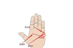 手相看财运准不准