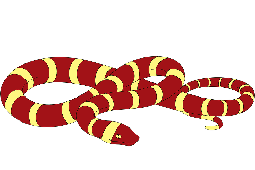 属蛇为什么不能穿红色，有什么说法