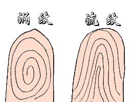 手指纹占卜