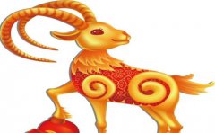 属羊的名人和明星