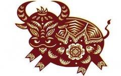 属牛适合什么颜色