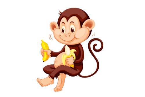 2004年属猴的是什么命 04年出生的猴五行属什么
