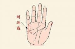 手相看财运9个特征