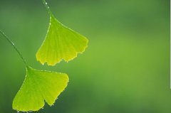 苏珊大妈水瓶座2020年3月运势详解