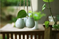 属兔人2021年买房好不好
