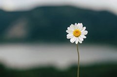 近期发横财的梦境
