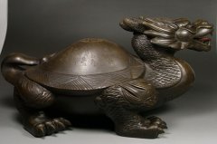 龙龟适合什么生肖