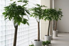 横梁压顶是迷信吗