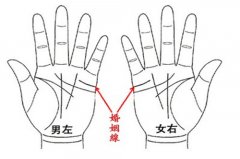 一生不结婚的手相，一生不婚的人有什么特征