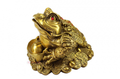 金蟾不适合哪种人，金蟾的摆放禁忌