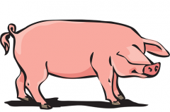 属猪在哪一年有偏财运，属猪人大发横财的年份