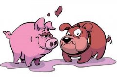属猪的人晚年幸福吗，有哪些提升幸福感的方法