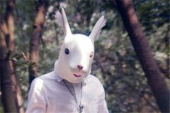 1987年属兔哪年要2胎好，87年哪年适合生二胎