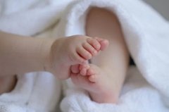 为啥大家都要生兔宝宝，几月生属兔宝宝最好