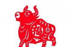 1997年属牛人2023年全年运势详解  26岁生肖牛2023年每月运势