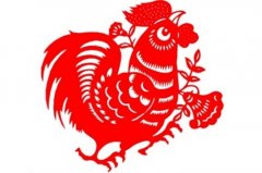 2005年属鸡人2023年全年运势详解  18岁生肖鸡2023年每月运势