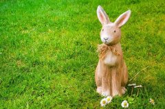 李居明属兔人2023年本命年运势详解  生肖兔在兔年本命年每月运势