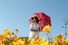 苏珊大妈2022年10月星座运势详解