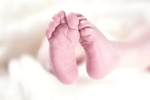 2023年生男生女清宫图 如何判断胎儿的性别