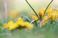 92属猴一生转折点，92年猴的运势转折点在什么年纪