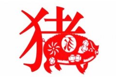 2025属猪的犯太岁吗  2025属猪冲太岁如何化解
